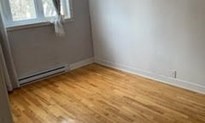 4 Bedroom Apartment ...