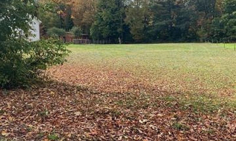 Level Lot In Nictaux...