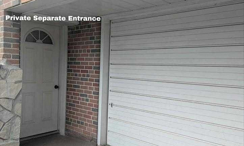 2-Bedroom Walkout Ap...