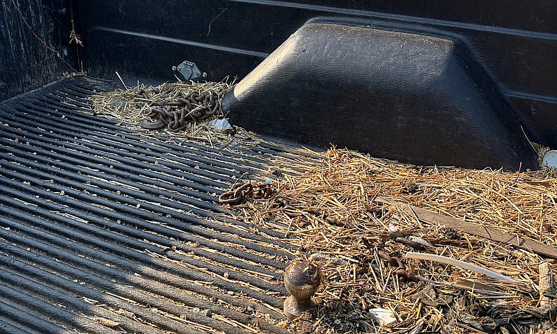 1993 D250 Cummins ...