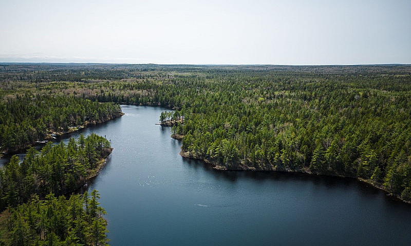 43 Acres Of Land For...