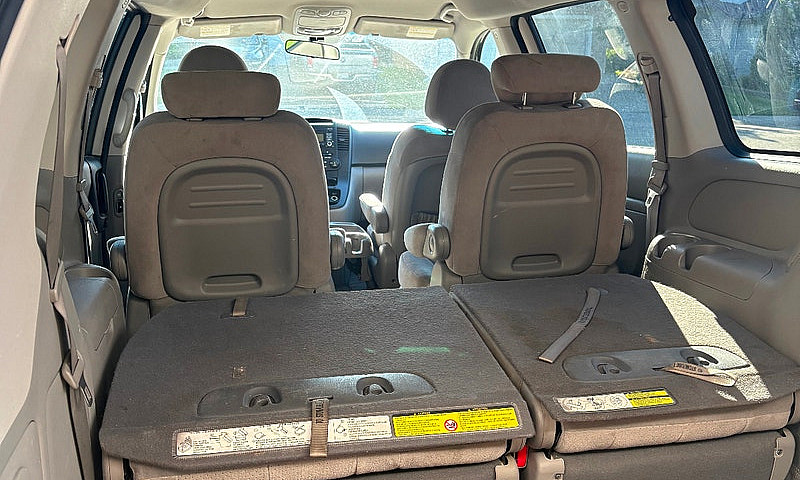 2010 Hyundai Entoura...