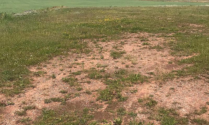 Land For Sale ...
