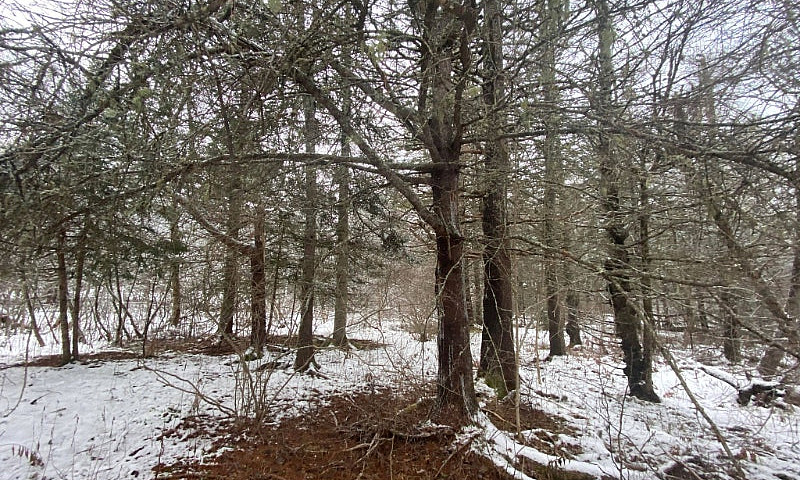 9 Acre Private Build...
