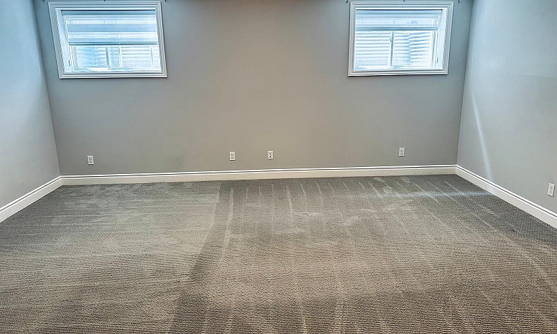 Modern Basement Apar...