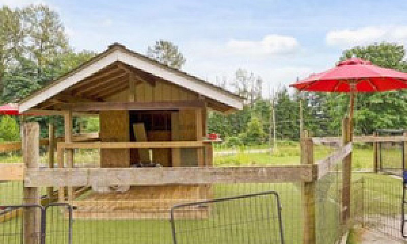 Versatile Acreage W/...