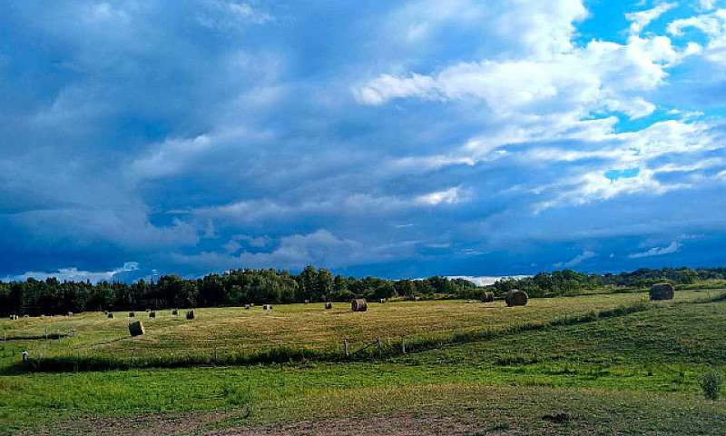 Farm For Sale Huron ...