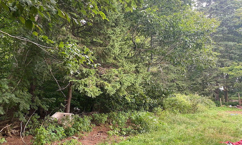 Hobby Farm  On 5.4 A...