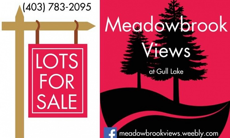 Bare Acreage Lot For...