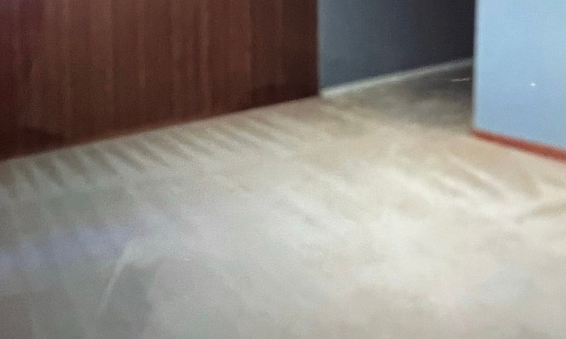 Basement Suite Marlb...