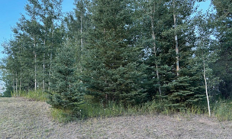Lake Lot For Sale Wi...