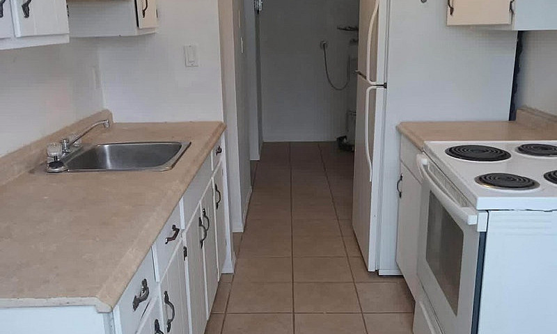 1 Bedroom Apartment ...