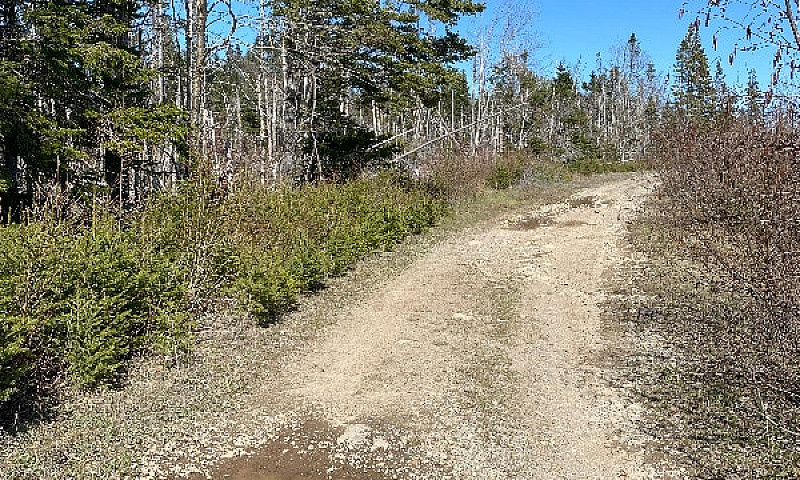 10 Acre - Vacant Lan...