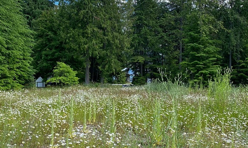 Kootenay Lake Lot Fo...