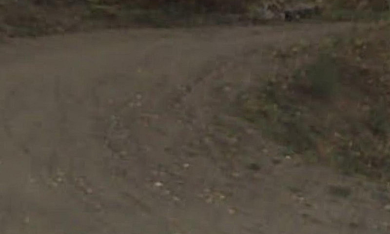 20 Acres, Burton Bri...