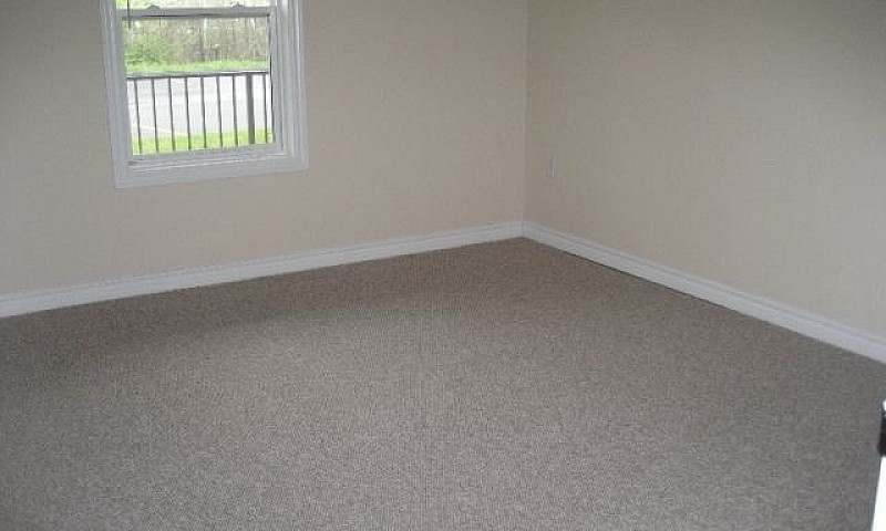  Spacious One Bedroo...