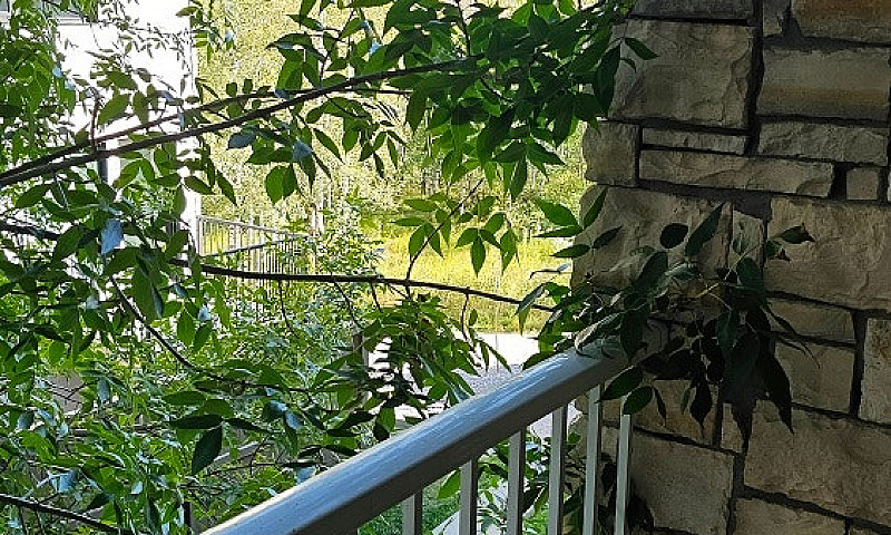 Condo For Sale - 321...