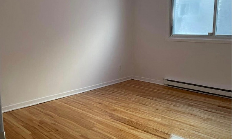 41/2 For Rent Renova...