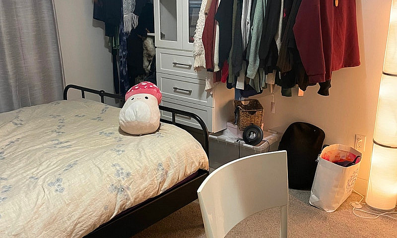 Pet-Friendly Rental ...