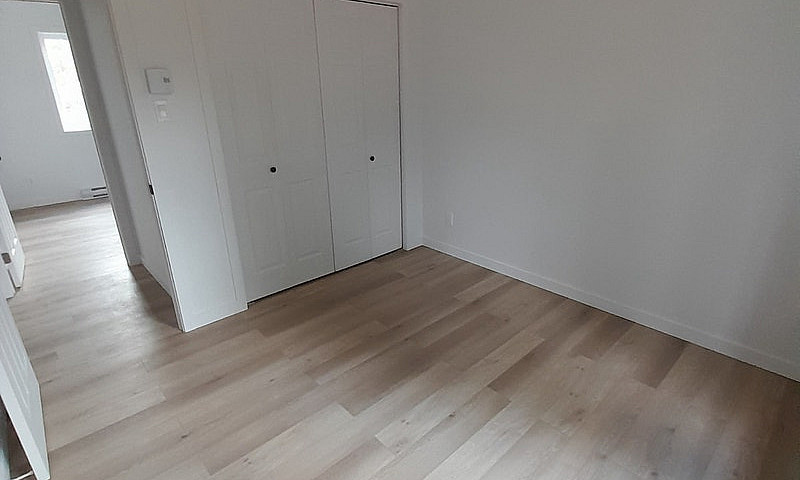 Maison 2024 46X26...