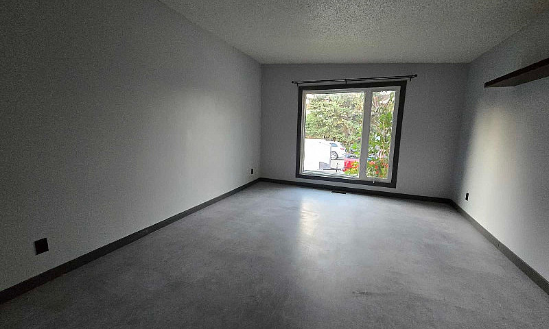 Bright, Spacious & C...