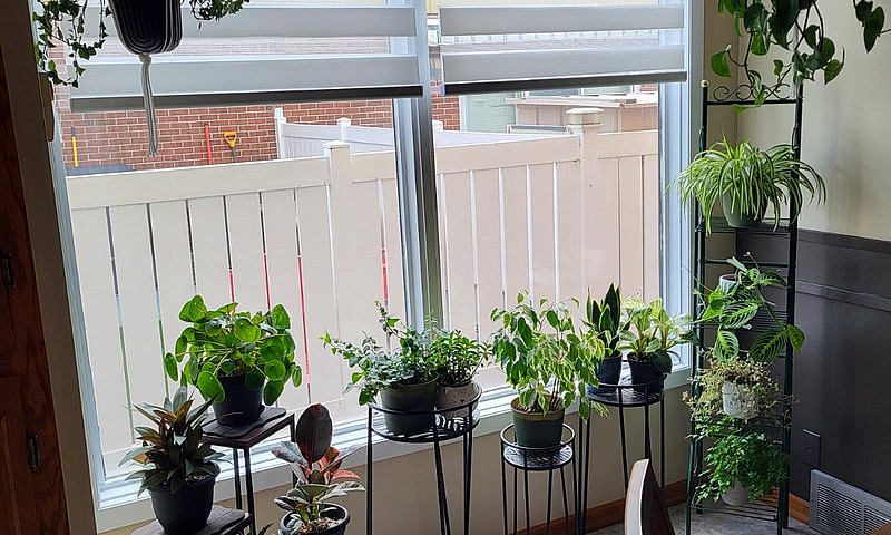 Albert Park Condo Fo...