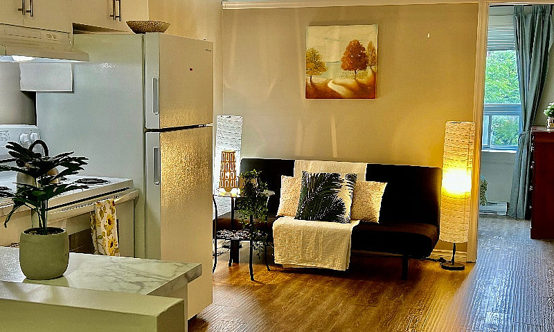 Beautiful Furnished ...
