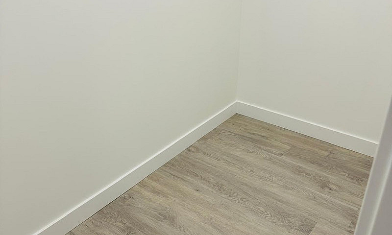 Basement For Rent ...