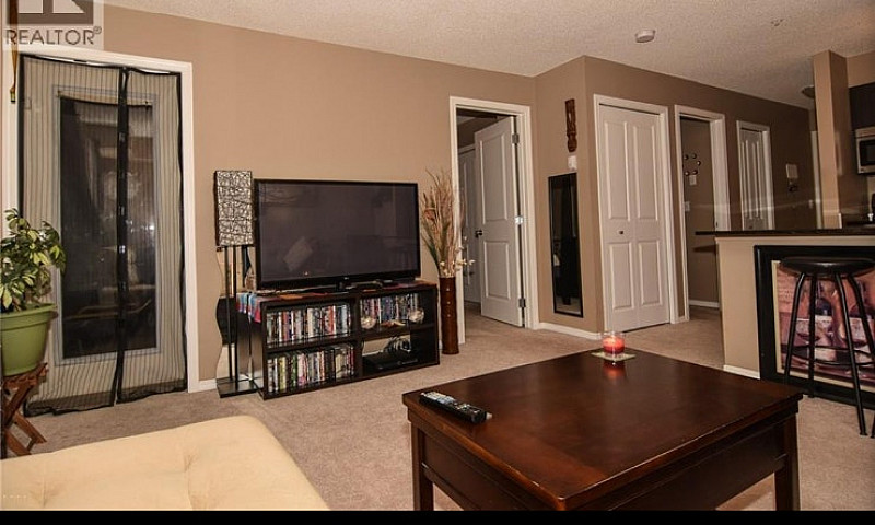 Apartment For Rent...