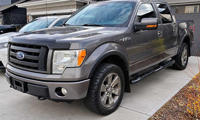 2010 Ford F-150 Fx4 ...