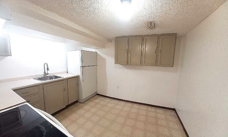 Walkout Basement Tem...