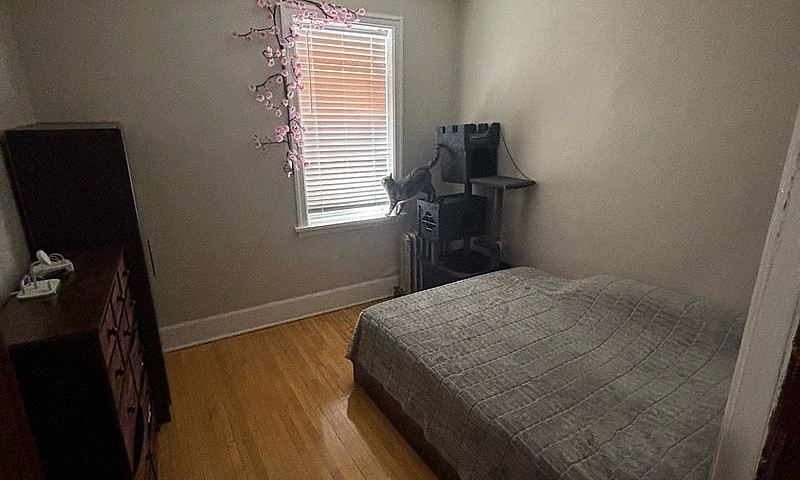 1 Bed 1 Bath Apartme...