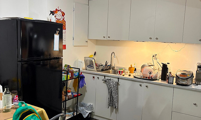 Basement Rental...