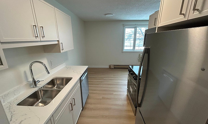 Newly Renovated 1 Be...