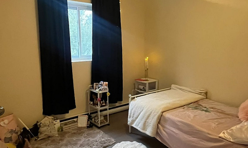 Female Roommate Need...
