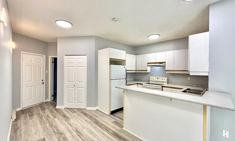 2 Bed 1 Bath Unit By...