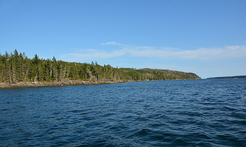 West Exposure Oceanf...