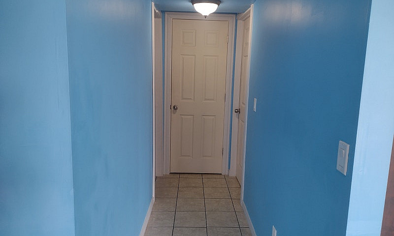 Walkout Basement In ...