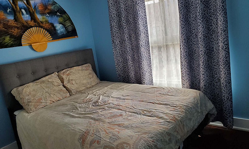 Female Furnish Room ...