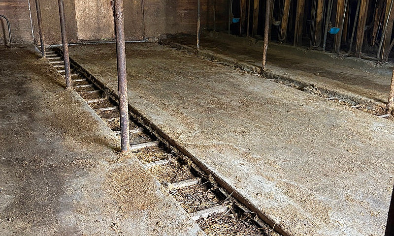 Barn And 55 Acres Of...