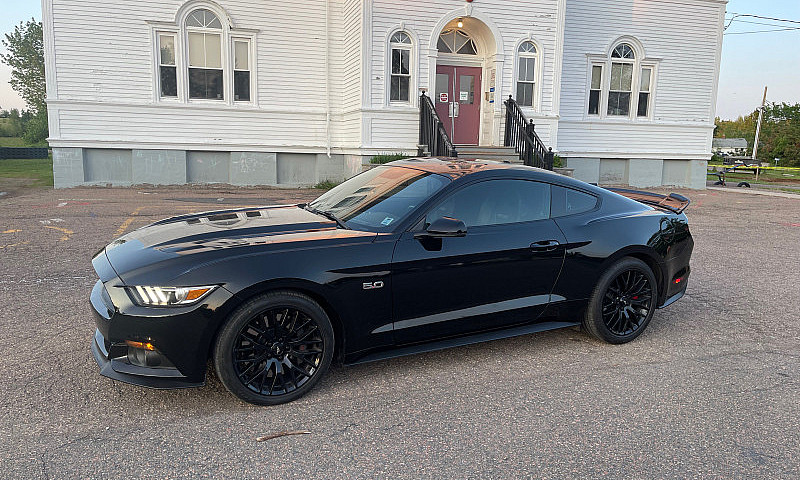 2015 Mustang Gt Pp1 ...