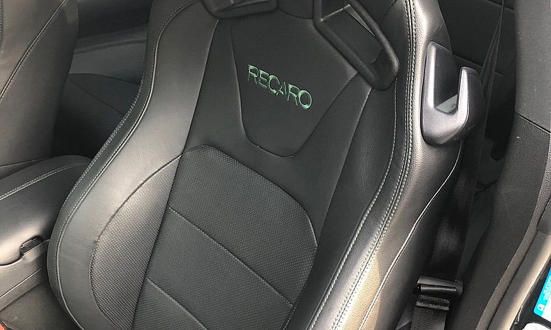 2019 Ford Mustang Bu...
