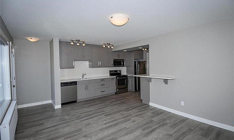 Luxury Fourplex For ...