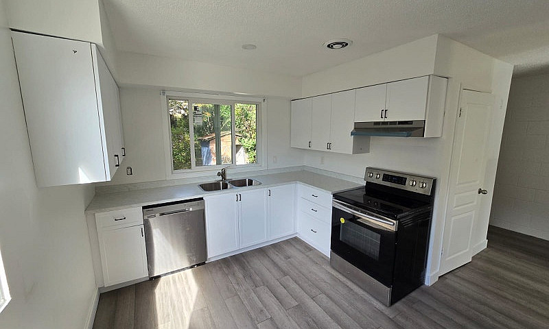 Newly Renovated 3-Be...