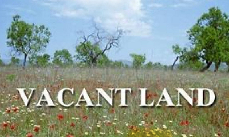 Buildable Lot West O...