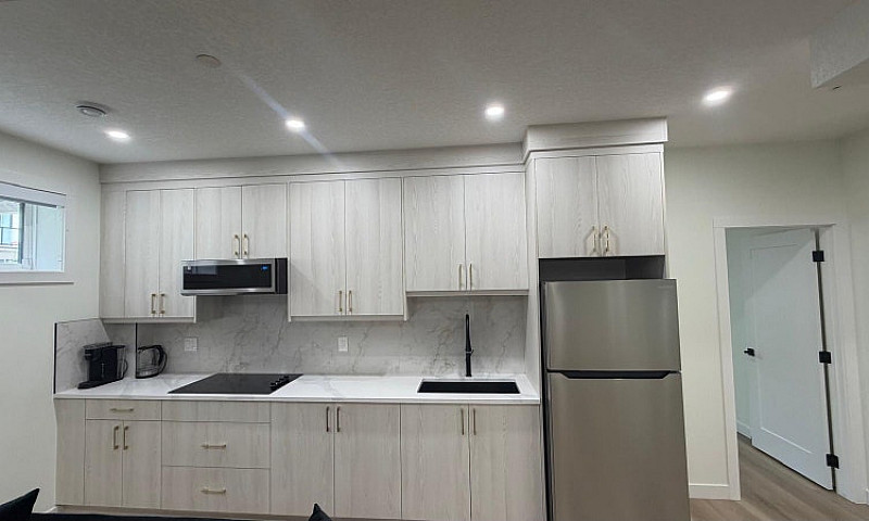 Modern Basement Apar...