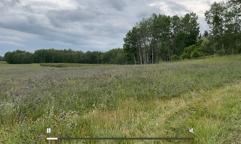 70 Acres For Sale...