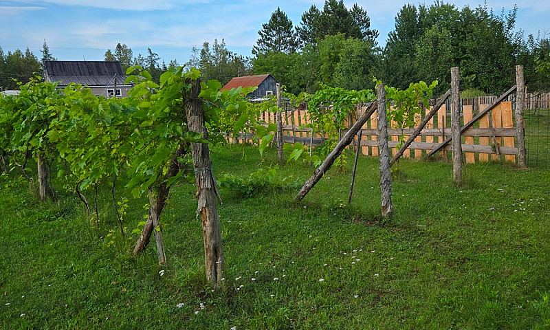 Hause For Sale By Ow...