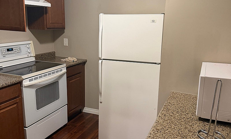 Basement For Rent In...