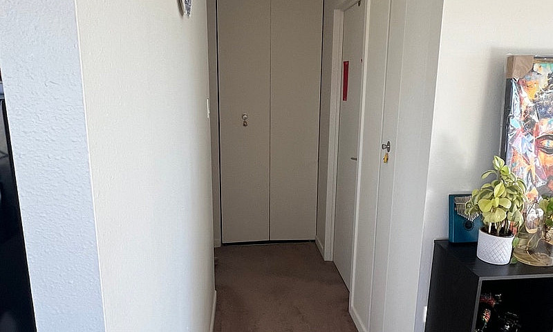2B1B Unit Near Uofc ...